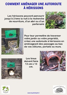 Comment amenager une autoroute a herissons